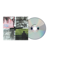 Stray Dogs - Standard CD